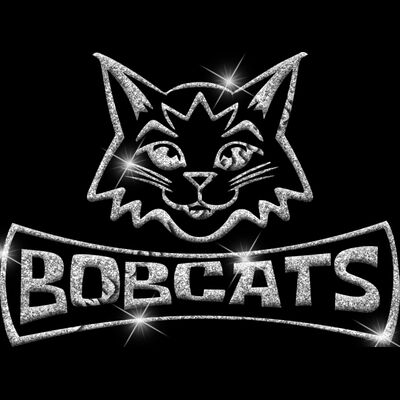 GLT94 SILVER GLITTER Thumbnail