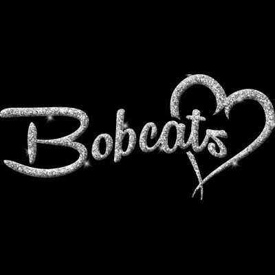 GLT6 SILVER GLITTER Thumbnail